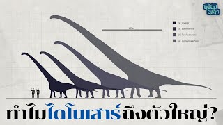 ทำไมยุคไดโนเสาร์ถึงเต็มไปด้วยสัตว์ขนาดยักษ์ Dinosaur Gigantism