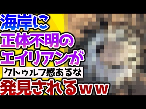 【2ch動物スレ】【閲覧注意】海岸で正体不明の生命体が発見される！→結局これはなに？【なんj】 #生き物 #2ch