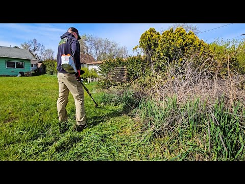 Son Requests A LAWN REVAMP Days BEFORE His Parents Move In