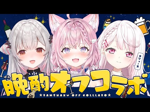 【 #パトしいこよ 】晩酌オフコラボ～～～！！！マシュマロ募集中～～～！！【博衣こより/ホロライブ】