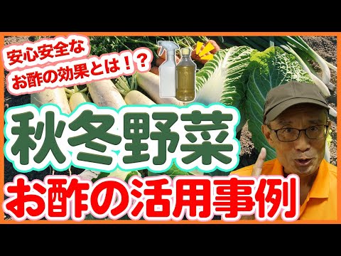 秋冬野菜で使いたいお酢の活用のポイントを徹底解説！【農園ライフ】