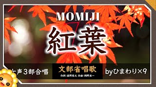 紅葉/もみじ【合唱】秋の夕日に〜♬ byひまわり×9🌻歌詞付き【日本のうた百選】