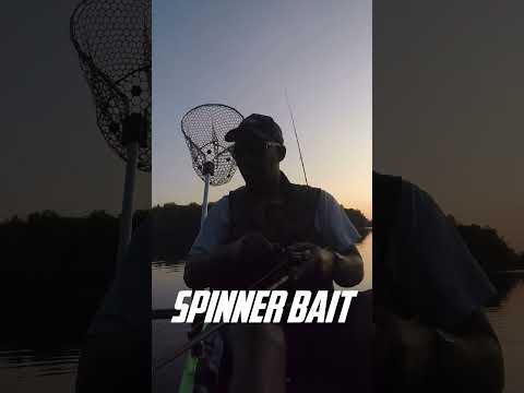 Spinnerbaits at Sunset. Summertime is here! #shorts #beginnerfishing #smallmouth