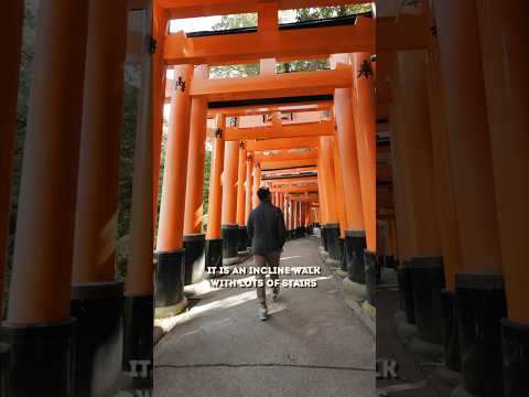 The RED Torii gates of Fushimi Inari Taisha