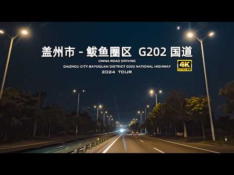 盖州市--鲅鱼圈区 G202国道 夜间开车 4K/China  Gaizhou City---Bayuquan District G202 National Highway Night Driving