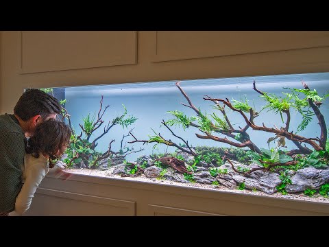 DANIEL'S HIGH TECH AQUASCAPE WILL AMAZE YOU - FULL AQUARIUM PLANT TUTORIAL (4K)