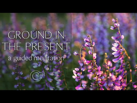 Grounding in the Present | Guided Meditation for Growing our Awareness