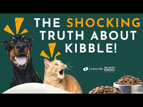 From Sick to Vibrant: How Whole Foods Transformed My Pets