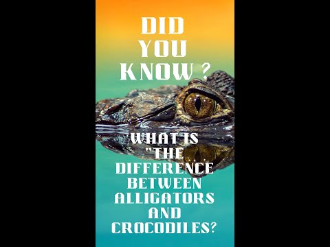 Did you know   Alligators And Crocodiles #shorts