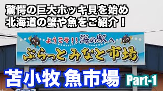 【驚愕の巨大ホッキ貝 苫小牧魚市場 Part1】あばお 海鮮ちゃんねる #55 海の駅 ぷらっと みなと市場