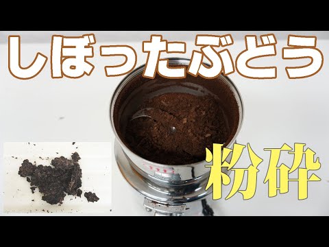 【ぶどうの皮パウダー】しぼったぶどうを粉砕（コナッピー）