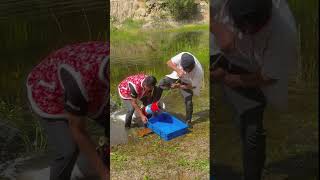 Fishing hunting video #1000subscriber #fishing #1millonveiws