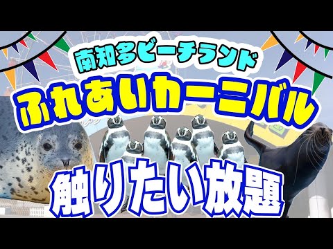 【大人気イベント】~生き物達に直接触れる‼︎アザラシの触り心地が…最高‼︎