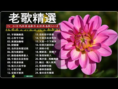 【老歌精選】【懷舊經典老歌】👍 70、80、90年代由台湾歌手演唱的🍀群星 里 一人一首成名曲 taiwanese old songs《不要拋棄我》《心有千千結》《美酒加咖啡》《因为我爱你》