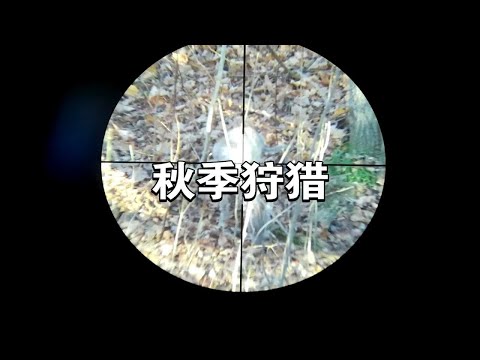 狩猎传奇生物:卓柏卡布拉，这个动物见面不如闻名，肉确很好吃！