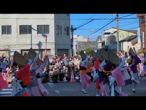 阿波踊り振興協会選抜連(コース1) 2024 12/1 徳島おどりフェスタ ～新時代へ躍り出そう～2