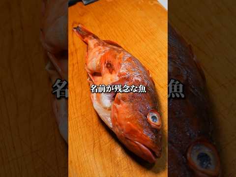 名前が残念なカサゴの三枚おろし #捌き方 #魚の捌き方 #三枚おろし