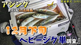 【アジング釣行記in淡路島】12月24日㈫のアジング調査。ヘビージグ単で良型を探せ！