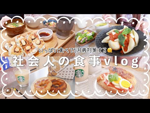 【自炊vlog】好き勝手に食べてストレス発散するOL🫠話題のミスドアレンジ.カルディ購入品etc...【OLの食事記録】