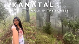 Kanatal Uttarakhand | Places to visit | Kaudia Forest Walk | Stay | Heena Bhatia