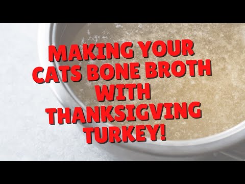 How To Use Your Turkey Carcass To Make Bone Broth | Two Crazy Cat Ladies