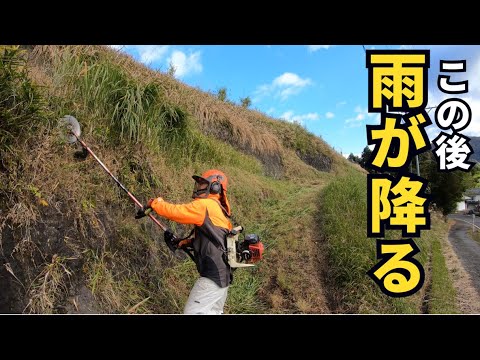 ウサギ山の通路を草刈り！天候が変わり過ぎです