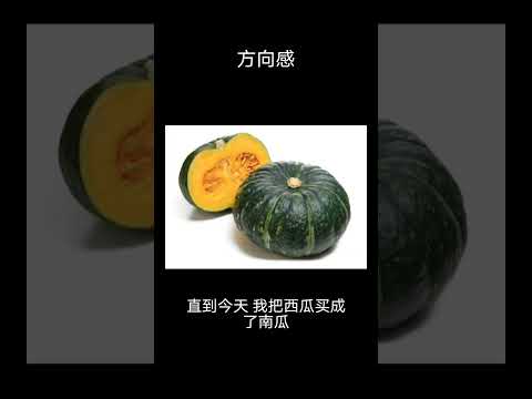 笑话 这下服了 没方向感的人 #笑话 #冷笑话