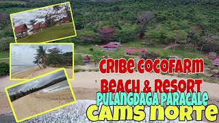 CRIBE COCOFARM BEACH & RESORT | PULANGDAGA | PARACALE | CAMS NORTE | TRAVEL | ADVENTURE