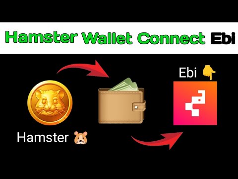 Hamster Kombat ebi Exchange wallet connect kaise kare | Ebi exchange account create | ebi account