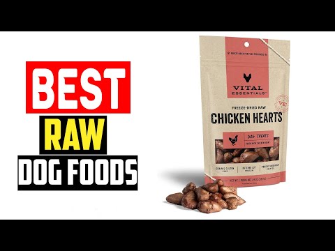 ✅Top 5 Best Raw Dog Foods of 2024