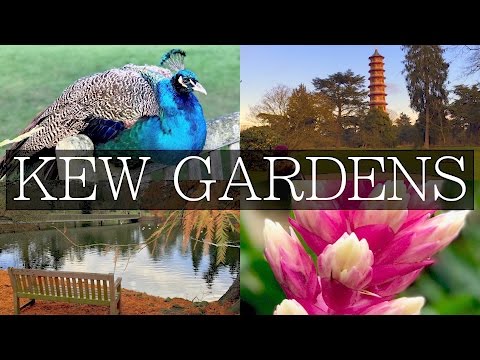 KEW GARDENS - Unique Day Trip from Central London