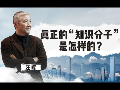 【清华大学】清华教授汪晖：真正的“知识分子”应该是怎样的？