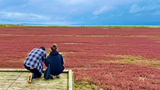 2024.9.15 北海道旅行❗️(17)網走❗️サンゴ草祭り❗️HOKKAIDO！　Jomi Expresser がライブ配信中！