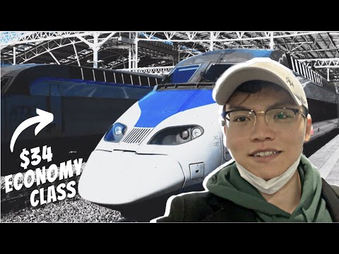 $34 ECONOMY CLASS KTX Korean Bullet Train Review | No Regret! | What's inside Korea KTX?