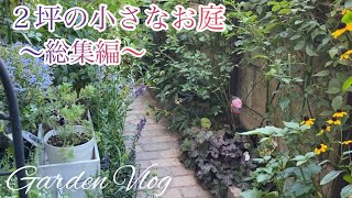 【ガーデニングVlog】お庭DIY総集編／２坪の小さなお庭／芝生からレンガ小径へ／過去に植えたお花たちの今