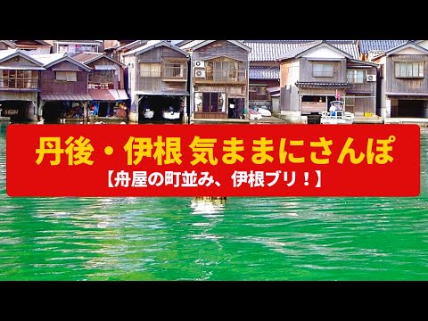 【気ままにさんぽ】伊根 舟屋の里、定置網漁の漁師町〈伊根浦公園、伊根ブリ〉Walk around Ine,KYOTO JAPAN