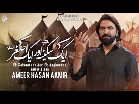 Nohay 2023 | Ek Sakina Aur Ek Asghar | Ameer Hasan Aamir 2023 | New Noha 2023