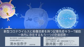 プレスリリース解説 vol.8「新型コロナウイルスに殺傷効果を持つ記憶免疫キラーT細胞 －体内に存在するもう一つの防御部隊－」