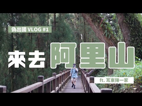 業餘出遊去｜來去阿里山偽出國 vlog#1 家庭旅遊激推報這團愛玩美旅行社 ft.耳東陳一家【三十口米】