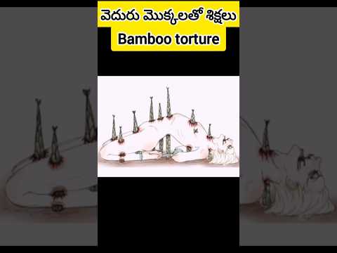 వెదురు మొక్కలతో శిక్షలు  #facts #entertainment #shortvideos