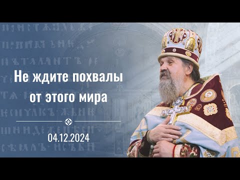 Мне так хорошо было, а потом меня поругал священник... Проповедь о. Андрея Лемешонка  04.12.24