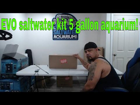 Let's unbox a new aquarium