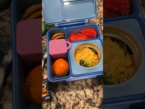 School Lunchbox #schoollunch #lunch #lunchbox