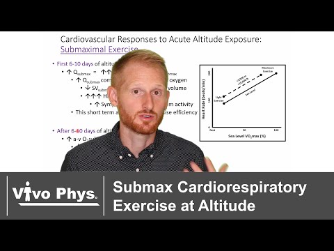 Submaximal Cardiorespiratory Exercise at Altitude