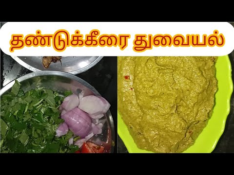 தண்டுக்கீரை துவையல் | thandu keerai thuvaiyal recipe in tamil@sutharsanalifestyle308