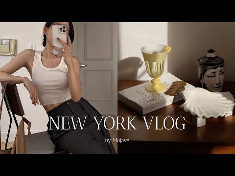 New York vlog🗽Relaxing Morning | Karaage Night | Favorite Tapas Restaurant [Eng sub]