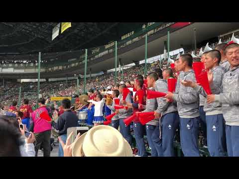 レッツゴー習志野✖️AKBおじさんのコラボ…2019甲子園習志野応援