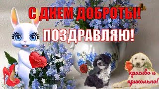 Прикольное поздравление С Днем Доброты🌹всемирный день доброты❤️видео поздравление с днем доброты