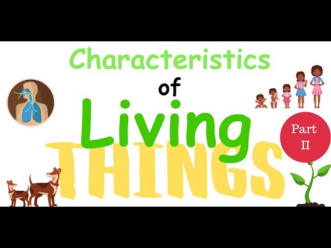 The Characteristics of Living Things Part II