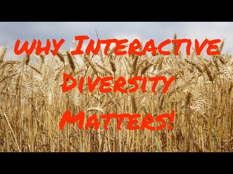 Why Interactive Diversity is Not The Same as Diversity